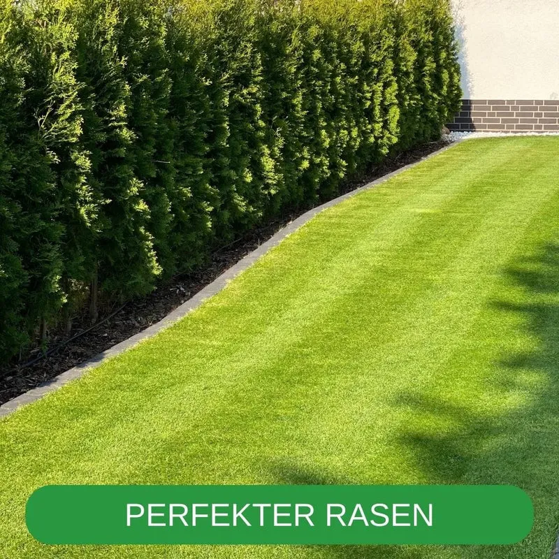 RISISANI Premium Rasenrakel XL-120 in stainless steel