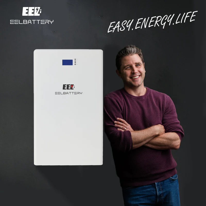 48V DIY Power Wall Mount Kits Built-in Smart 200A Seplos Bluetooth BMS Vertical Box 15kwh Home Energy Storage