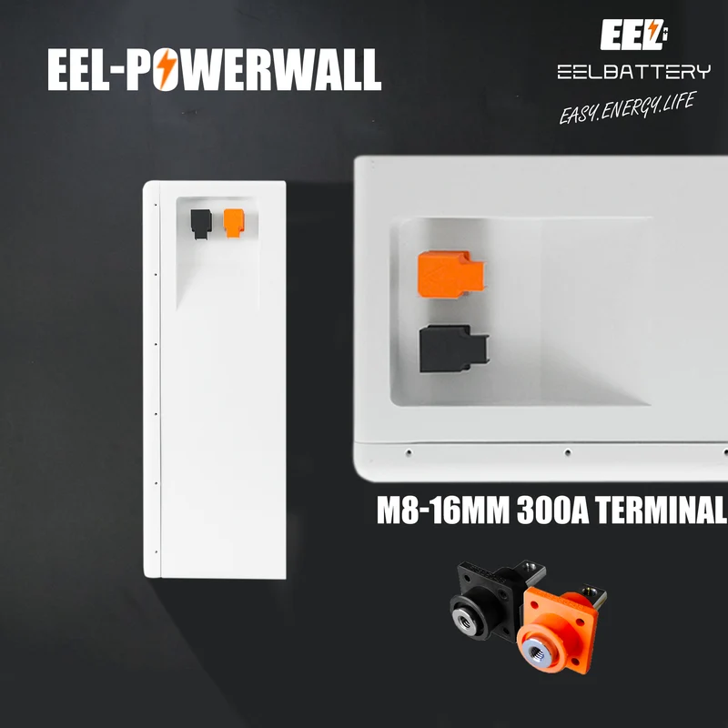 48V 17Kwh EEL Power Wall LiFePO4 Battery Pack Power Wall for Home Solar Energy Storage System
