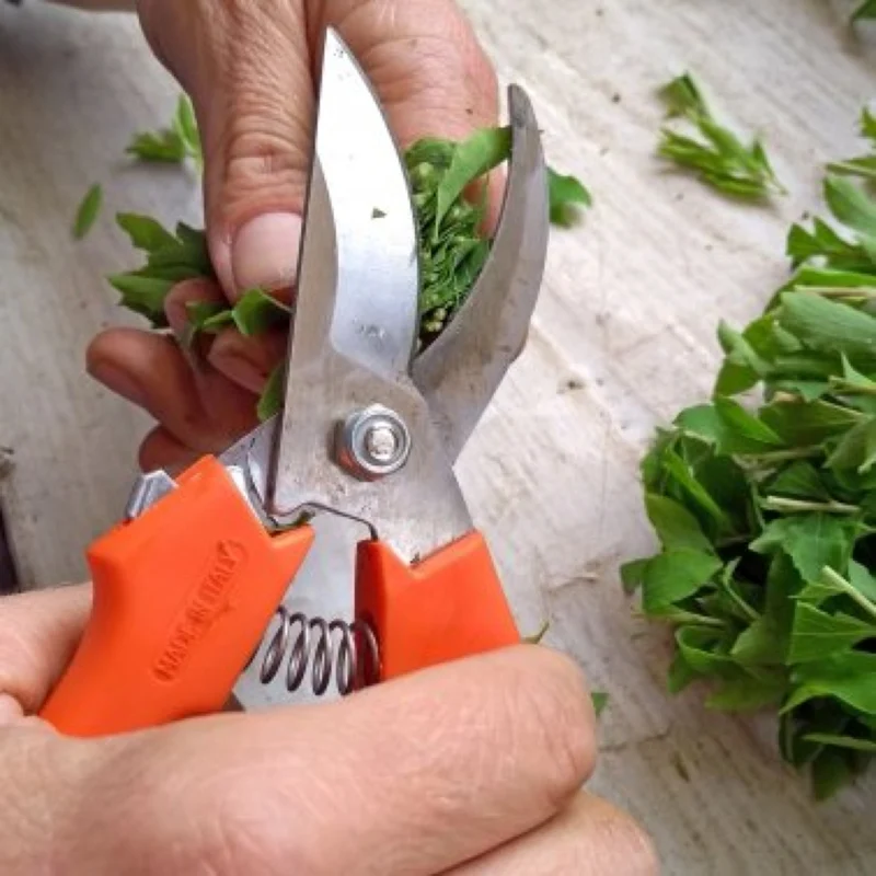 Gartenschere MEYbest M19