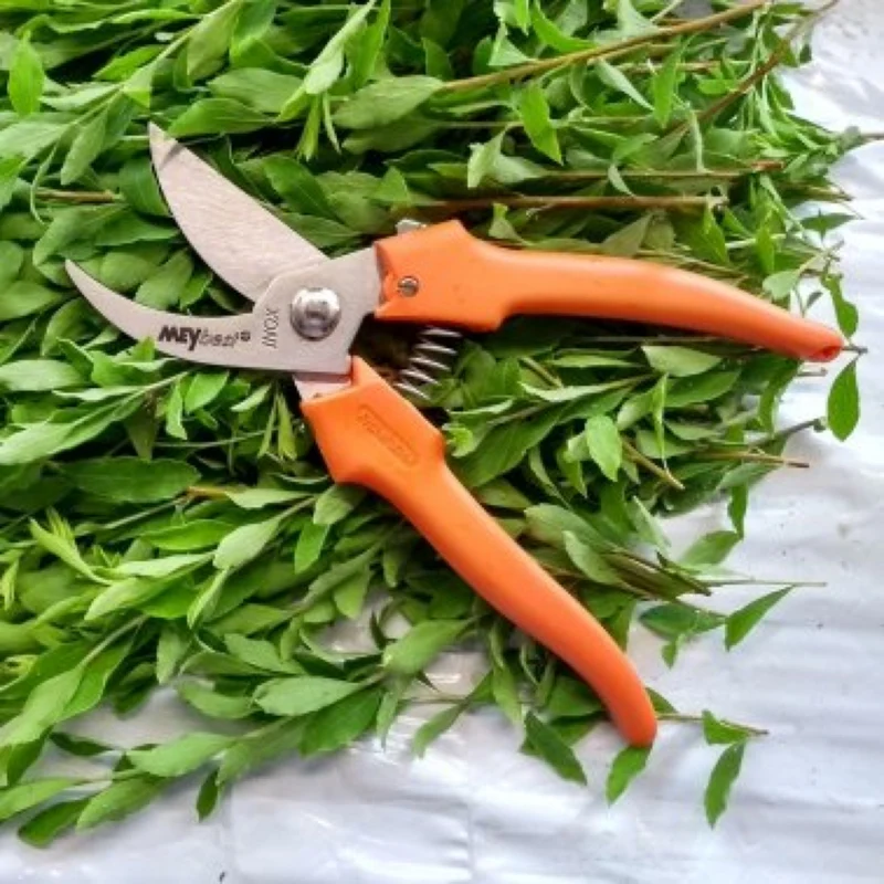 Gartenschere MEYbest M19