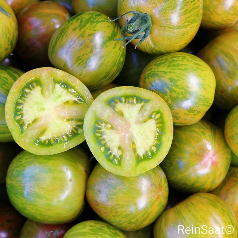 Tomate 'Kalypso'