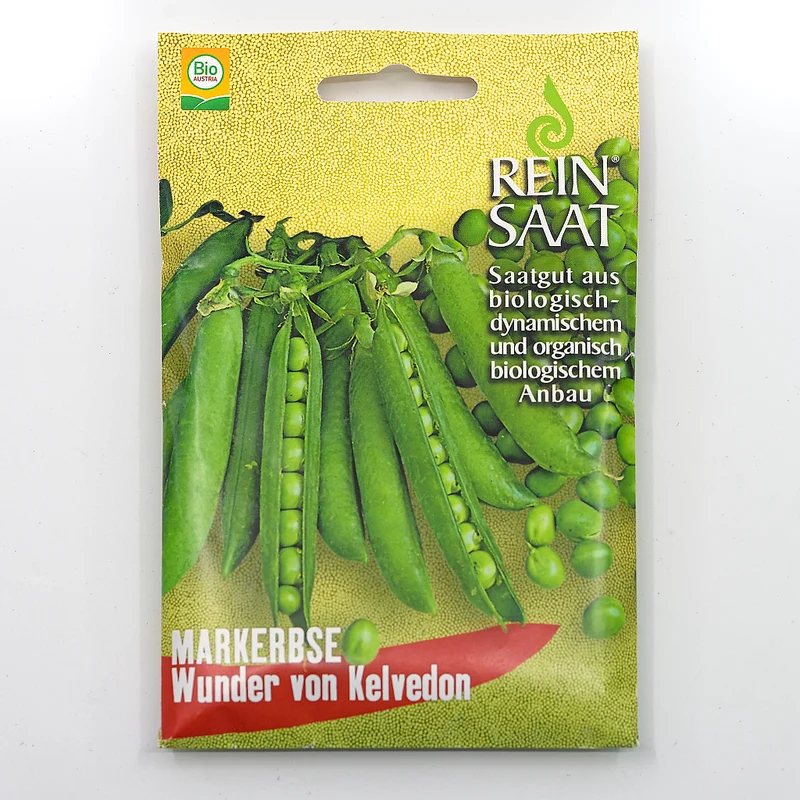 Markerbse 'Wunder von Kelvedon'