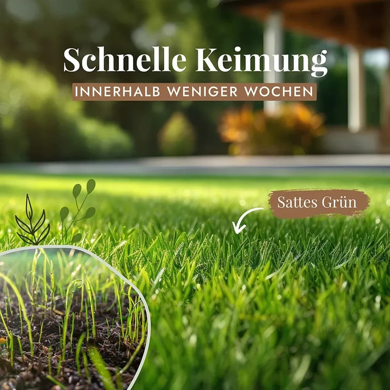 Bio-Rasensamen