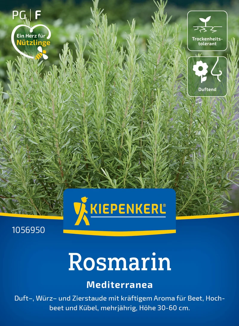 Rosmarinsamen Mediterranea