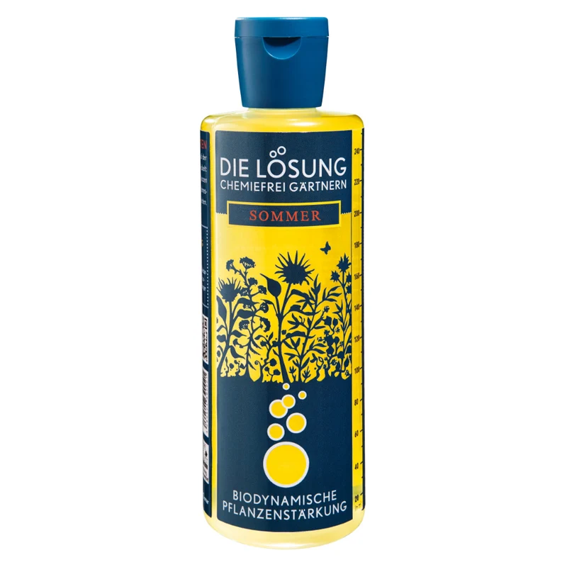 Die Lösung im Sommer