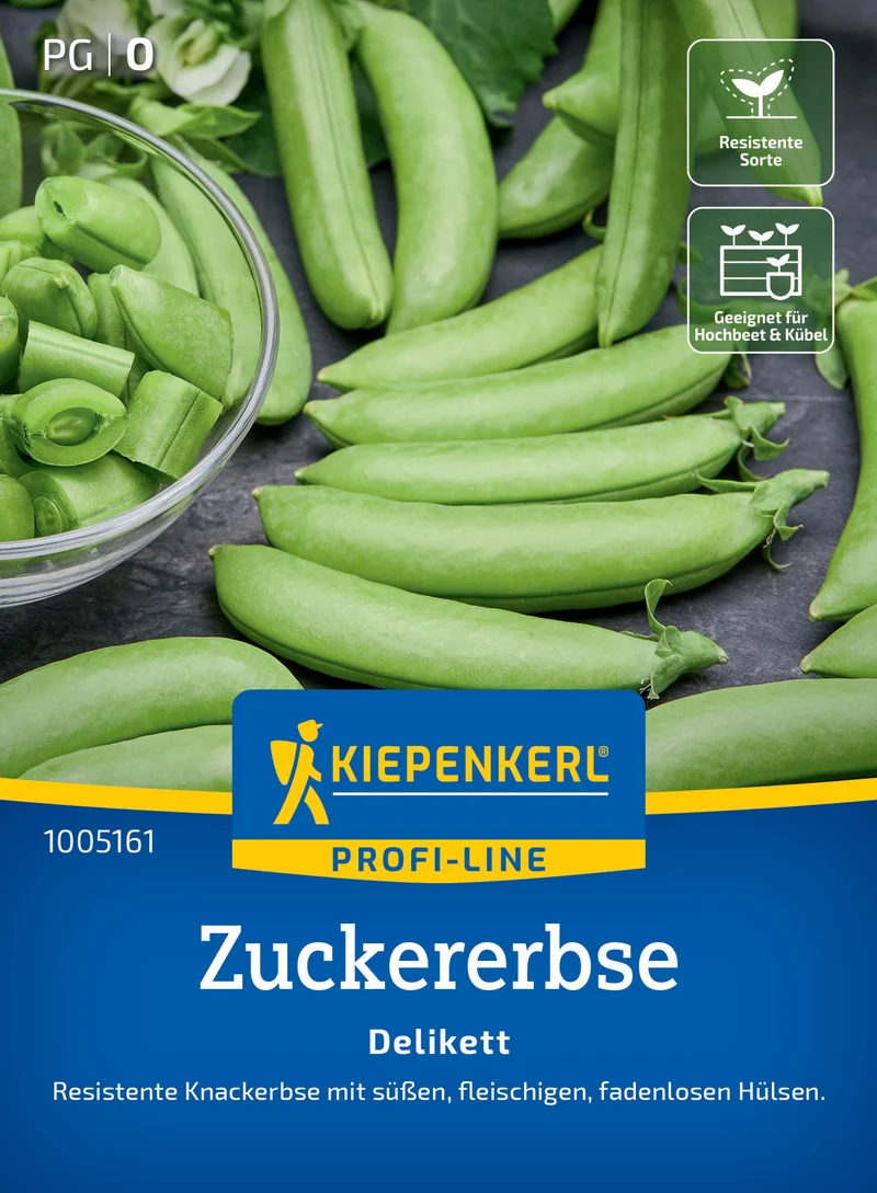 Zuckererbsensamen Delikett