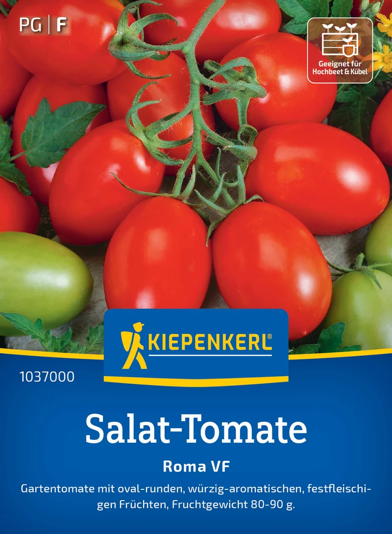 Salat-Tomatensamen Roma VF