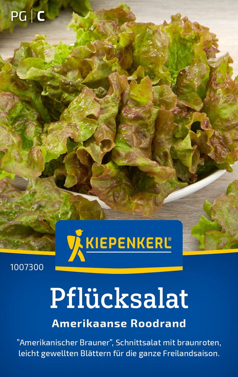 Pflücksalatsamen Amerikaanse Roodrand