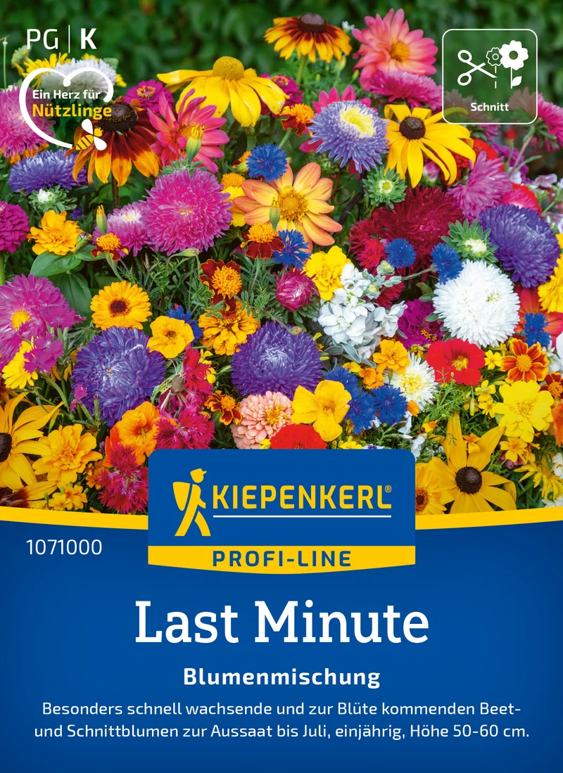 Blumensamen-Mischung Last Minute