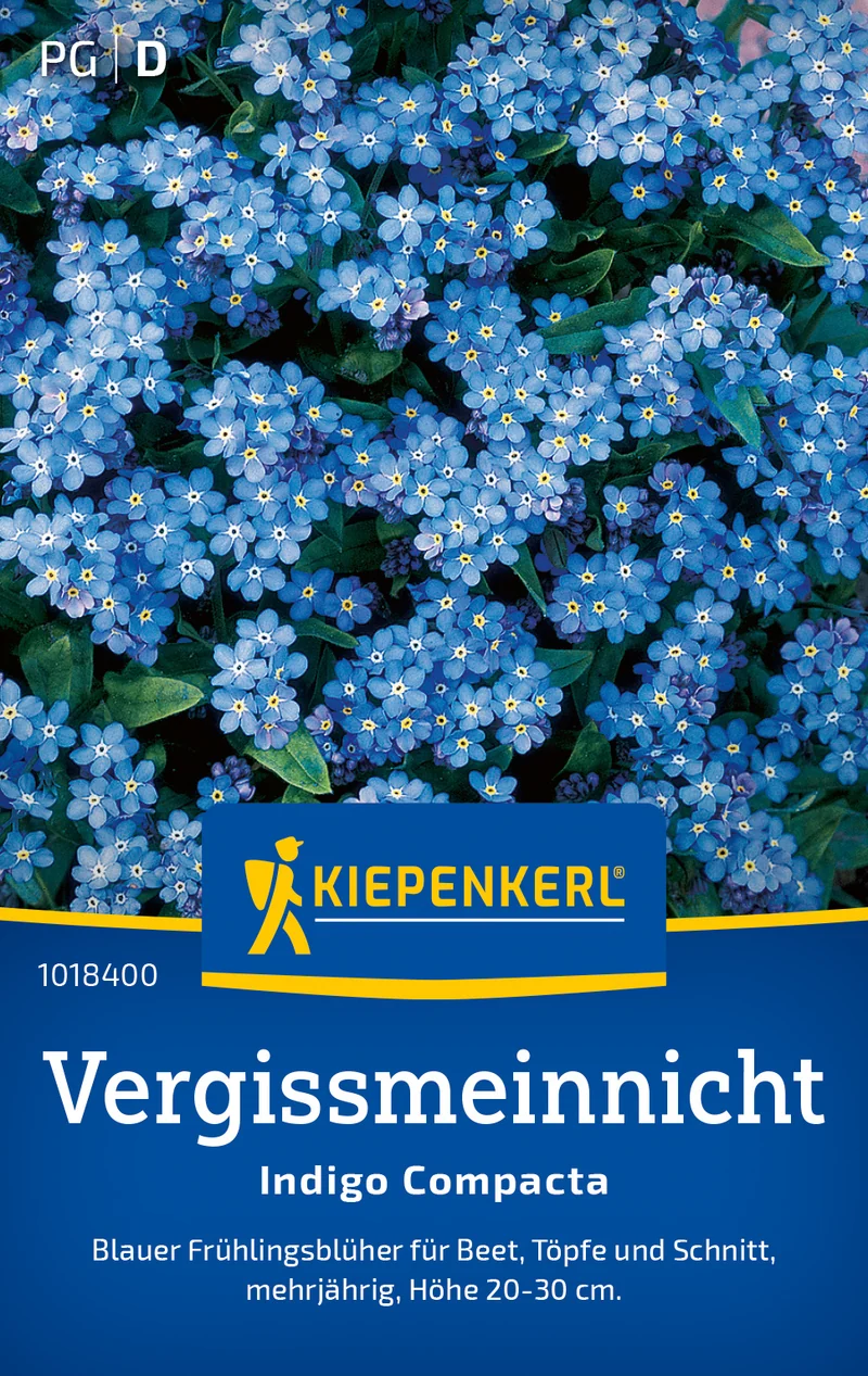 Vergissmeinnichtsamen Indigo Compacta