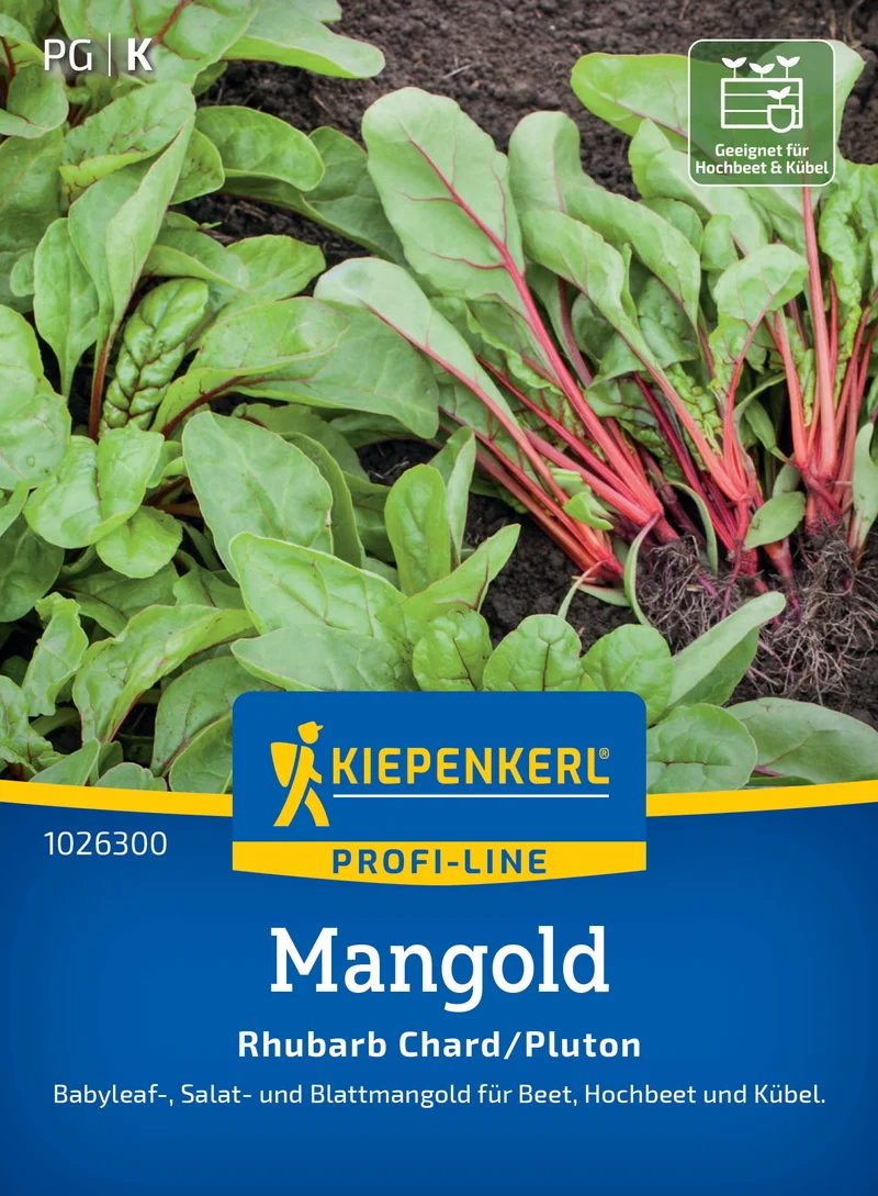 Mangoldsamen Rhubarb Chard/Pluton