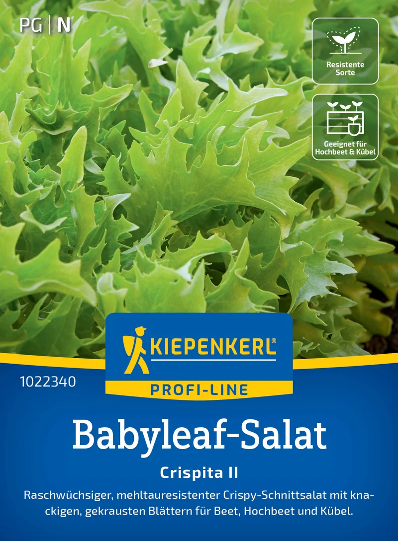 Babyleaf-Salatsamen Crispita II