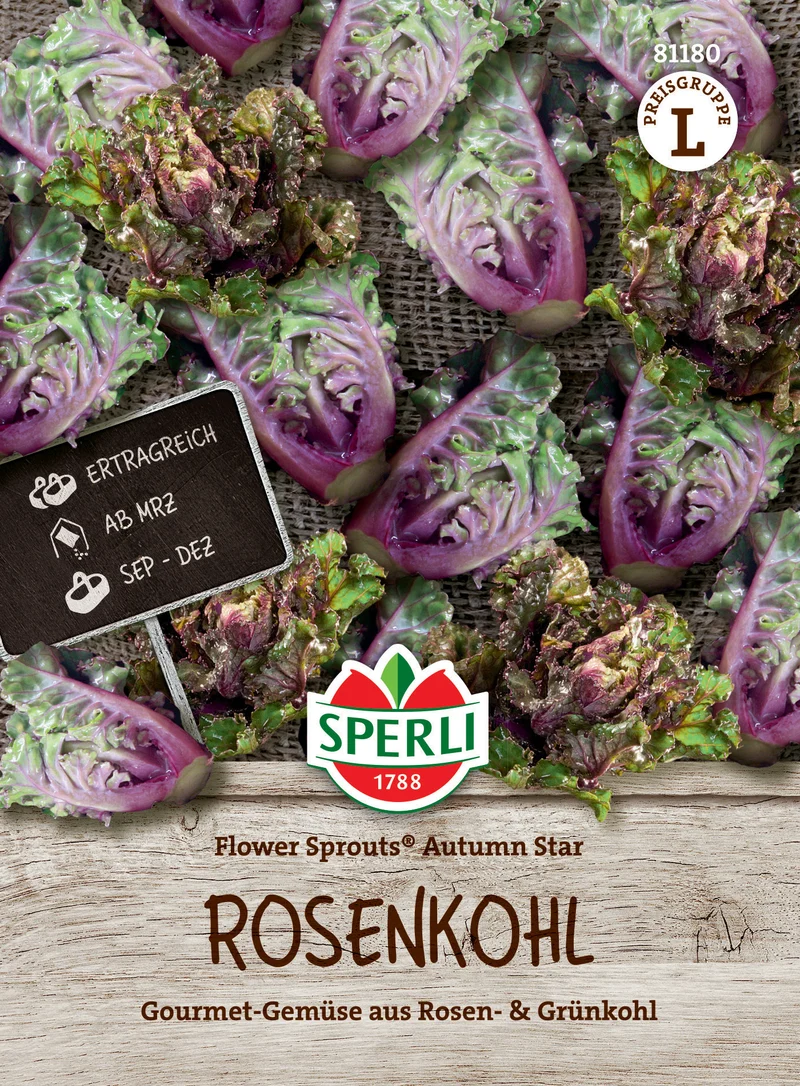 Rosenkohlsamen Flower Sprouts® Autumn Star, F1