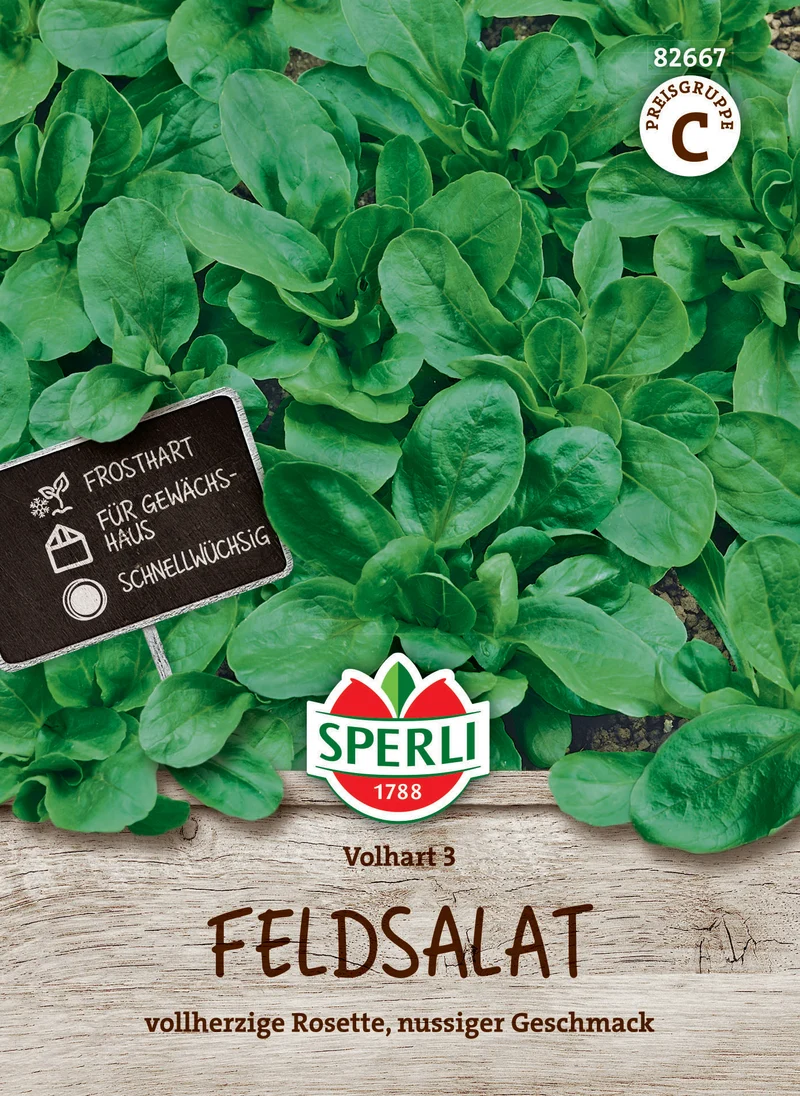Feldsalatsamen Volhart 3