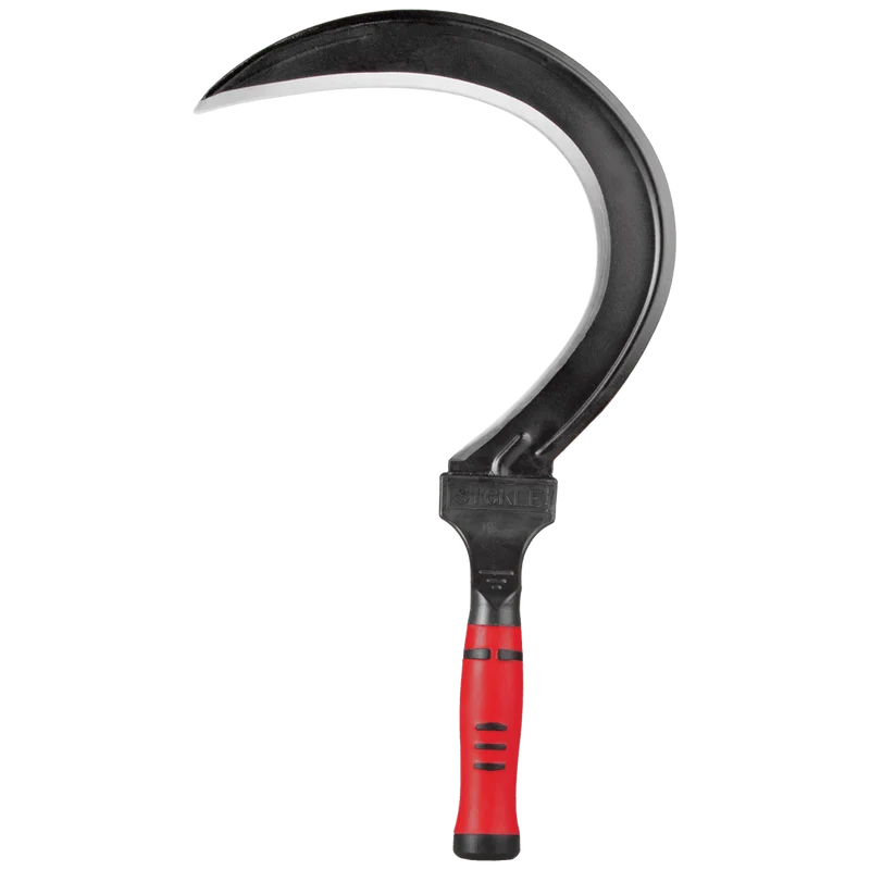 Sichel