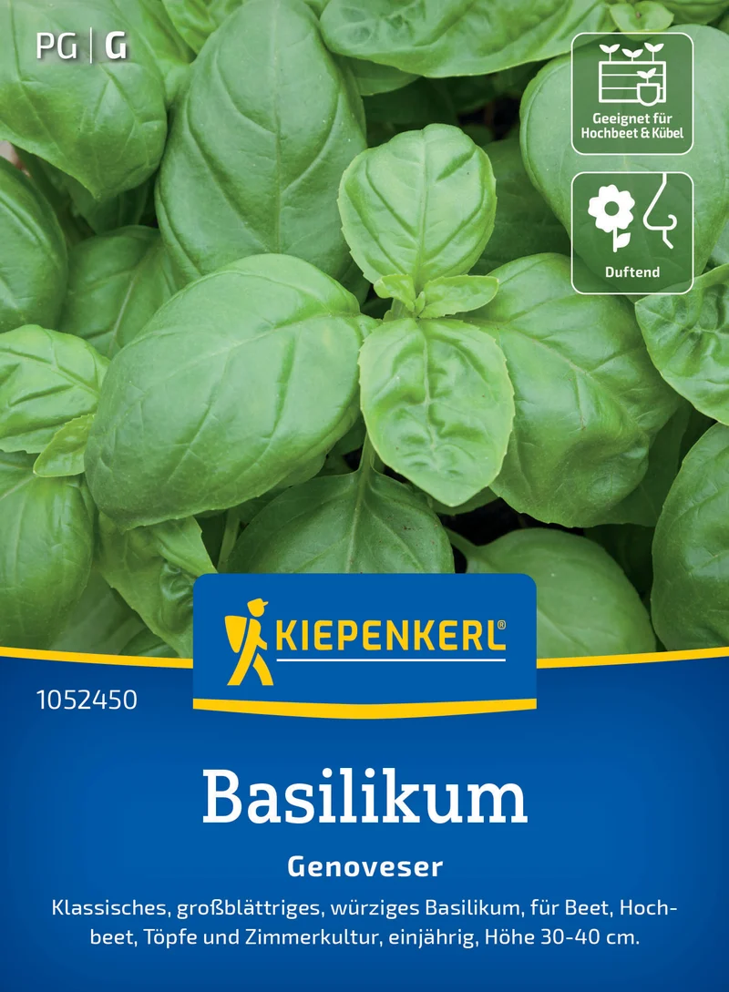 Basilikumsamen Genoveser