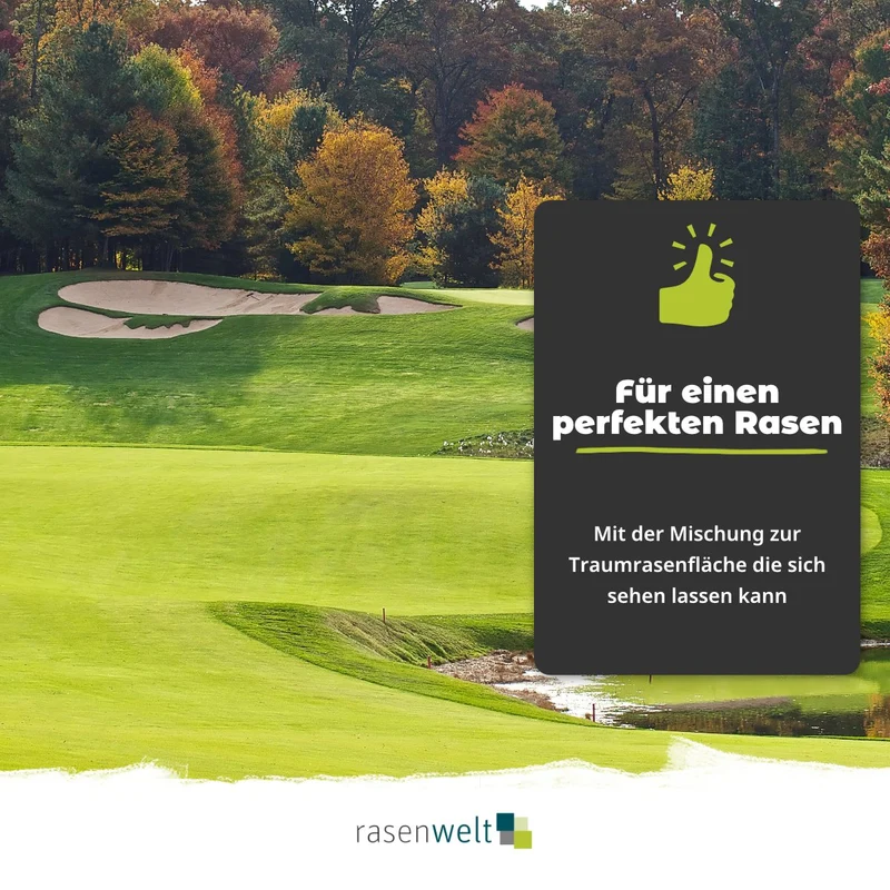 Rasensamen ARENA 4Elite Lowcut