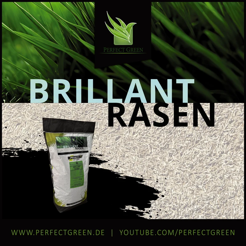 Perfect Green Brillant Rasen