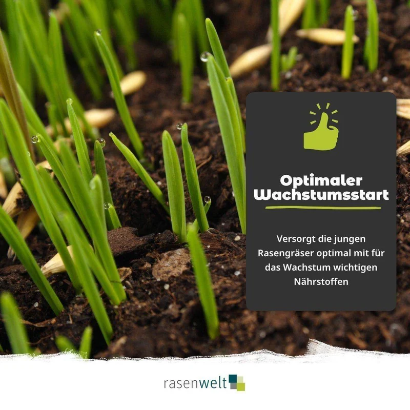 Starterdünger ARENA Starter 10+15+10(+15CaO) 20kg