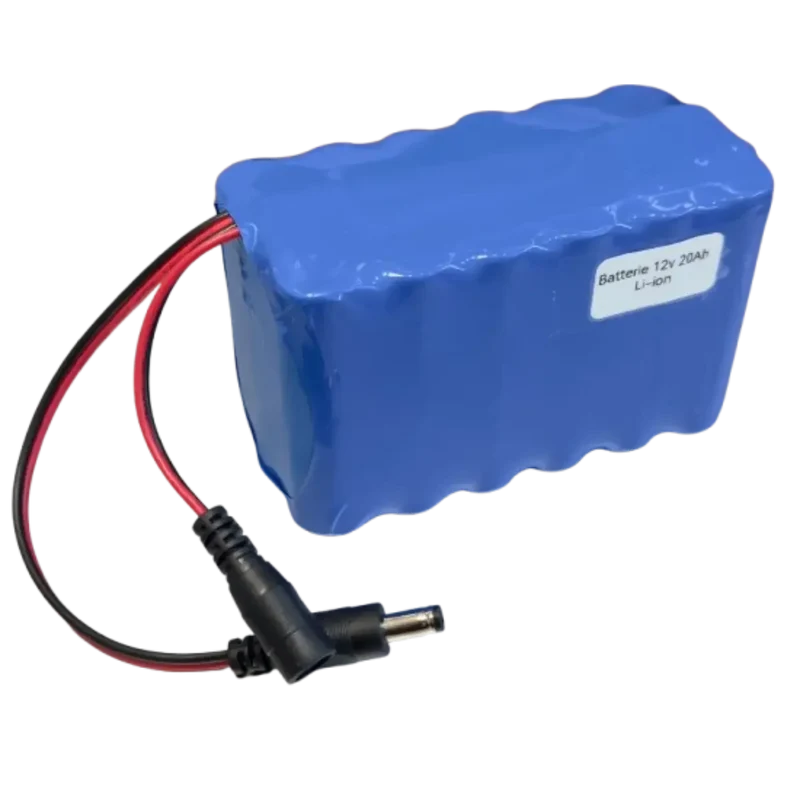 Batterie 3S6P Li-ion 12V 20Ah avec chargeur