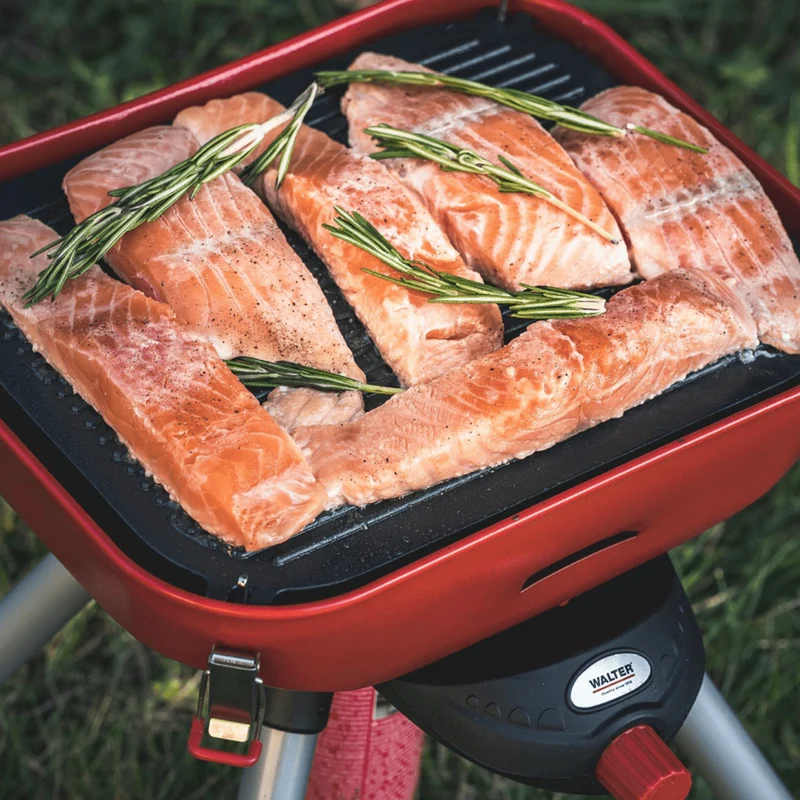 Camping- und Party-Gasgrill