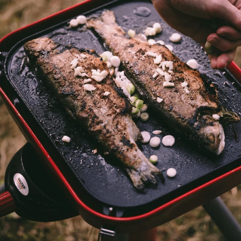 Camping- und Party-Gasgrill