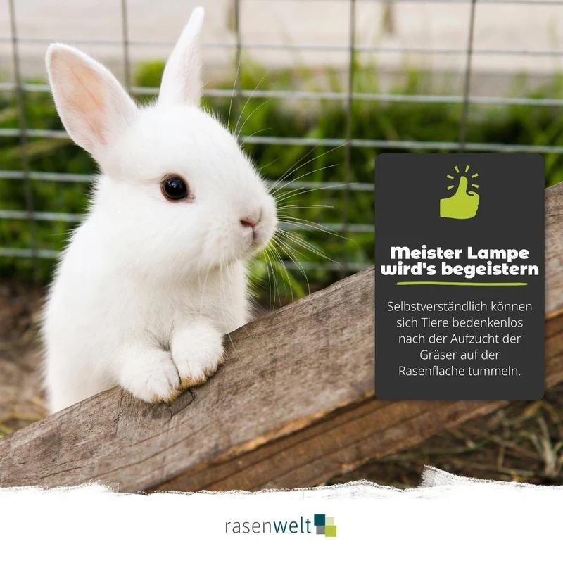 Rasensamen ARENA Lawn Supreme RSM 2.3