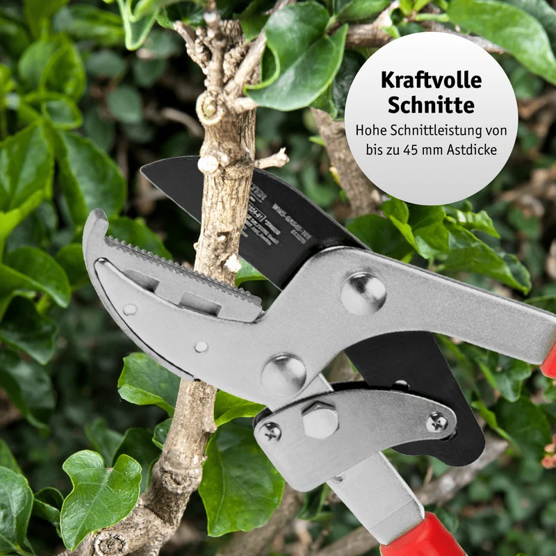 Teleskop Getriebe-Astschere