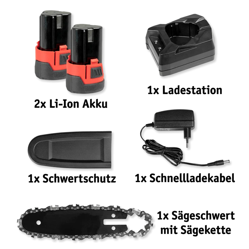 Li-Ion Akku Entaster 12 V