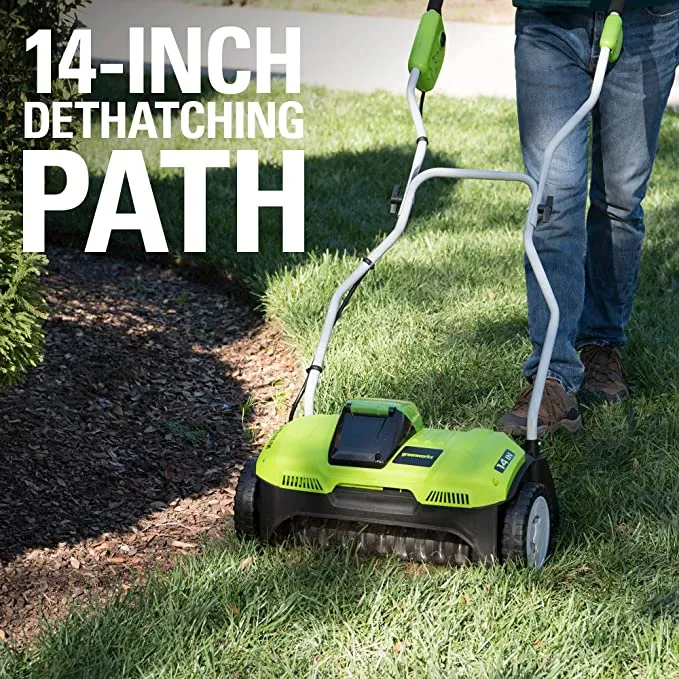 40V 14" Cordless Dethatcher: 4.0 Ah Battery and Charger