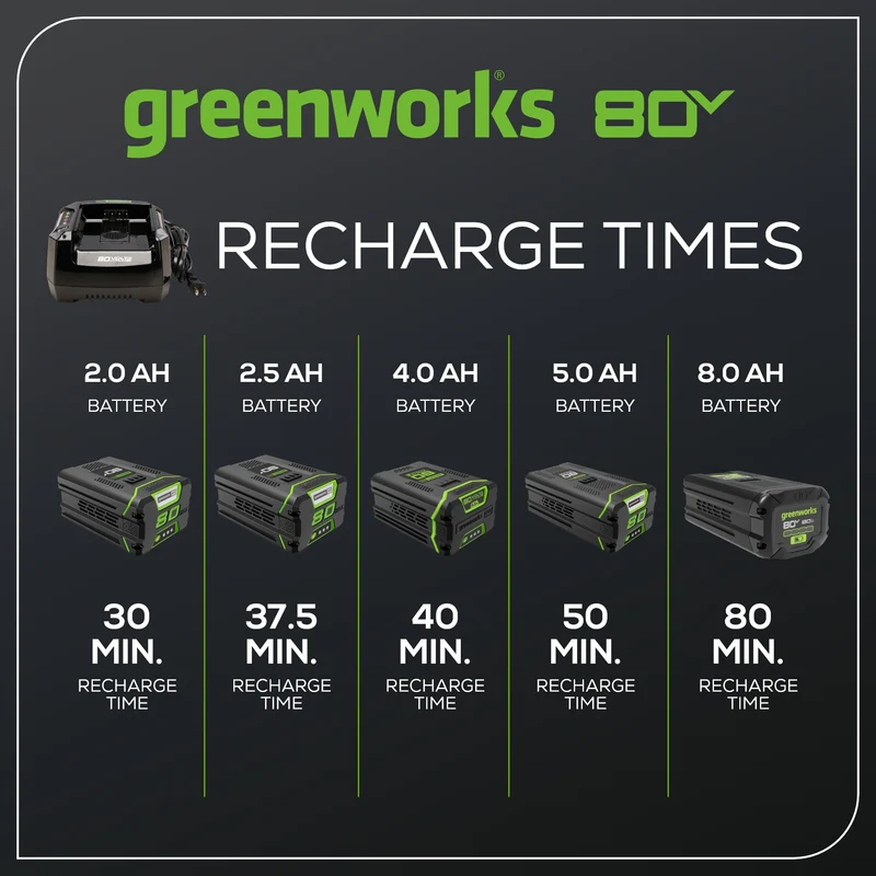 RENEWED 80V 6A Battery Charger