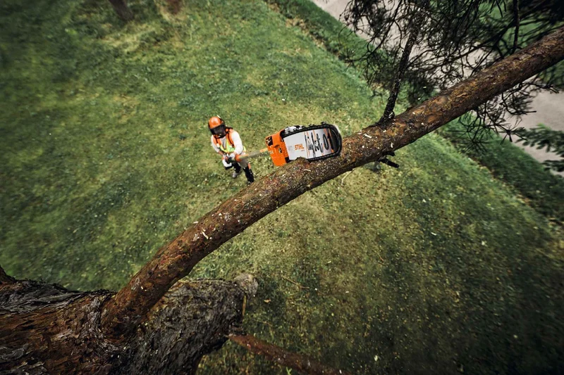 STIHL Akku-Hochentaster HTA 160 B, PM3, Schienenlänge 30 cm ohne Akku und Ladegerät