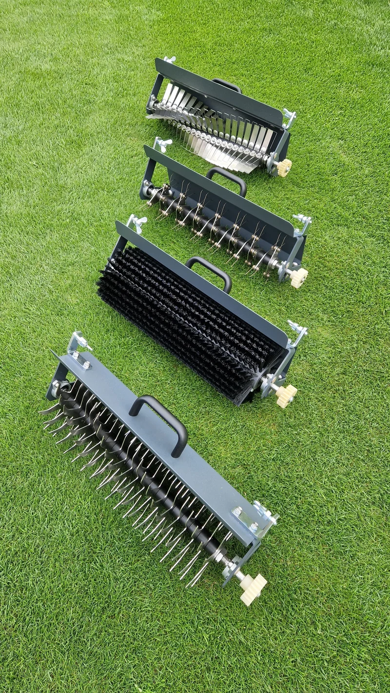 Lawn Dethatcher with Interchangeable Cartridges