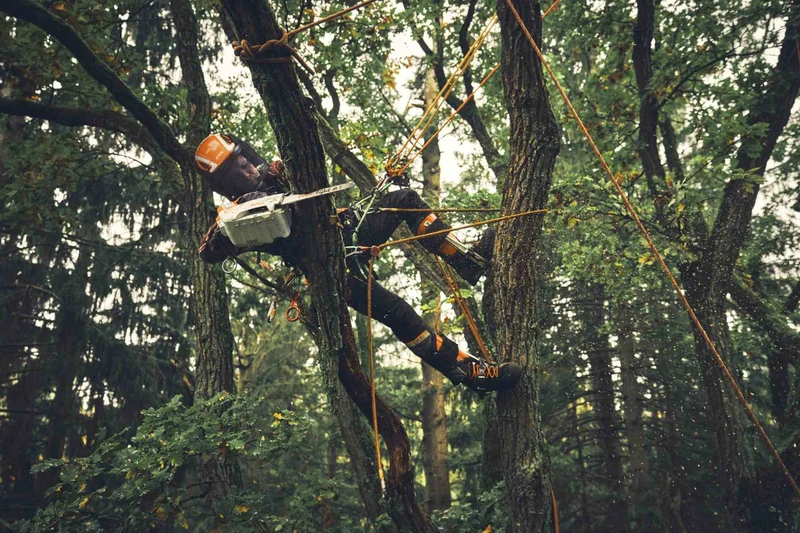 STIHL Akku-Baumpflegesäge MSA 190 T, PM3, Schienenlänge 30 cm