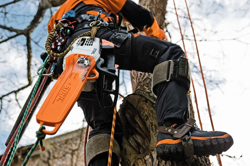 STIHL Baumpflegesäge MS 201 TC-M 30 cm / 61 PS3