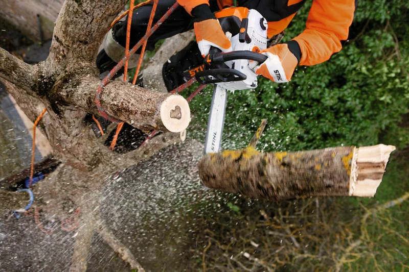 STIHL Baumpflegesäge MS 201 TC-M 35 cm / 61 PS3