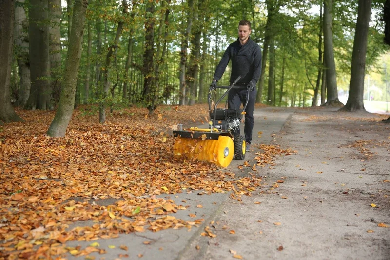 Texas Schmutz- und Schneekehrmaschine HANDY SWEEP 650TGE mit E-Start