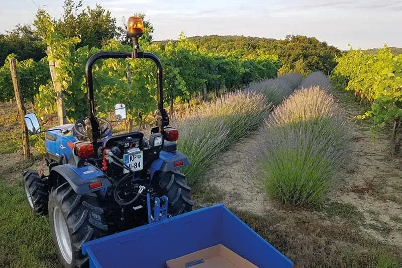Solis Kompakttraktor 26 Grundmaschine ohne Bereifung