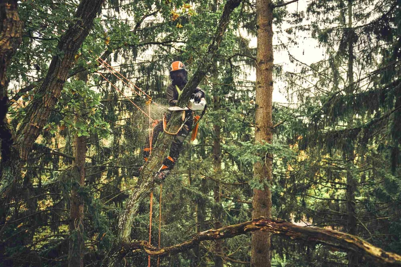 STIHL Akku-Baumpflegesäge MSA 220 T, PS3, Schienenlänge 35 cm - ohne Akku und Ladegerät