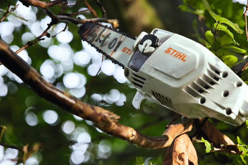 STIHL Akku-Hoch-Entaster HTA 86, ohne Akku und Ladegerät