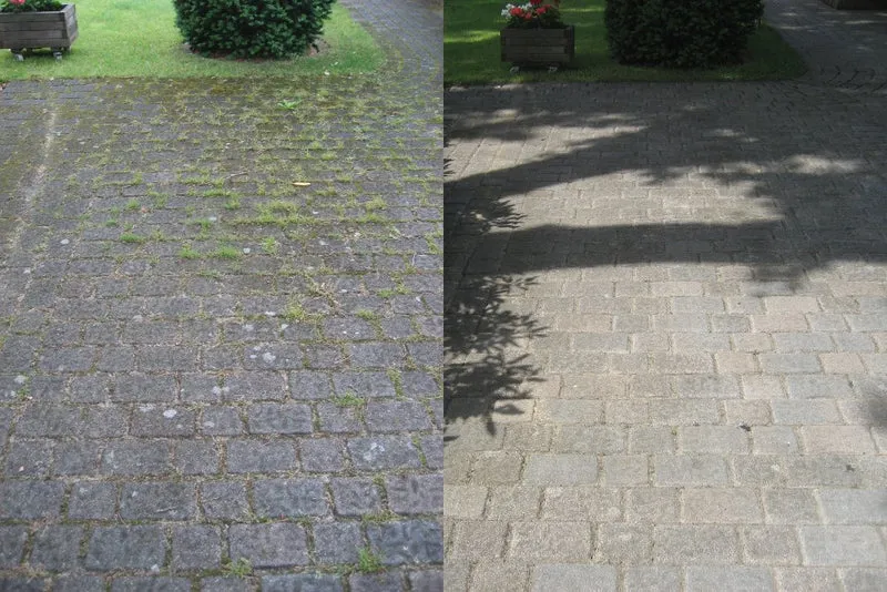 Kwern Wildkrautbürste Greenbuster Pro III