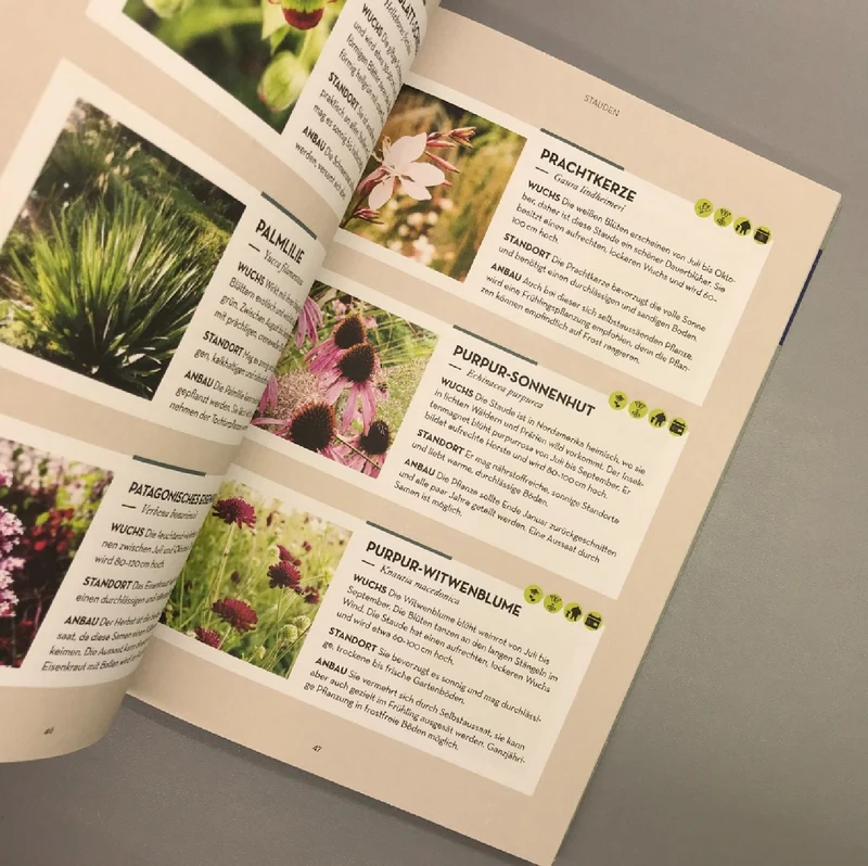 Blumen-Beete | Es geht auch einfach (Iris Winkenbach)