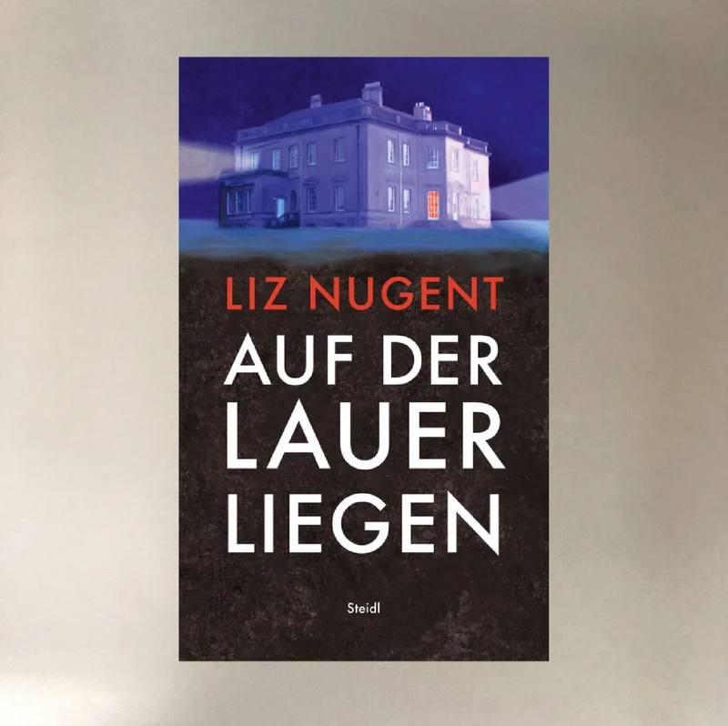 Auf der Lauer liegen (Liz Nugent)