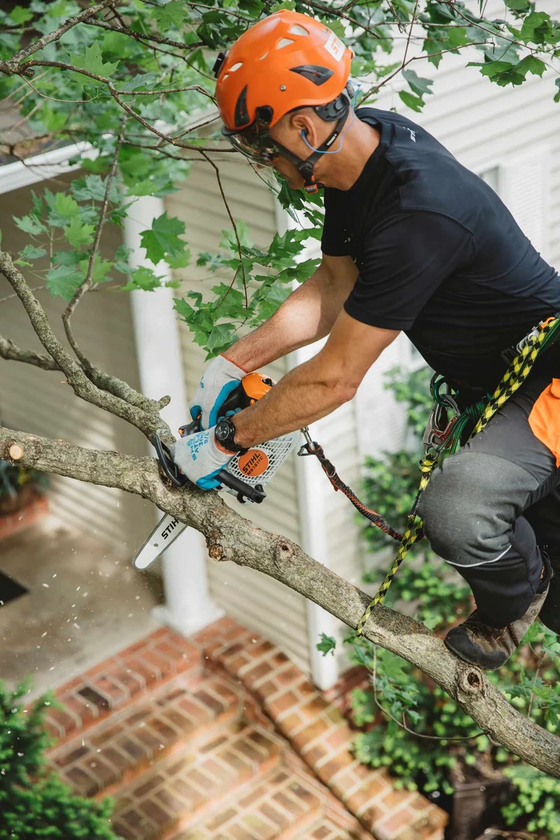 STIHL Baumpflegesäge MS 151 TC-E, PM3, Schienenlänge 25cm