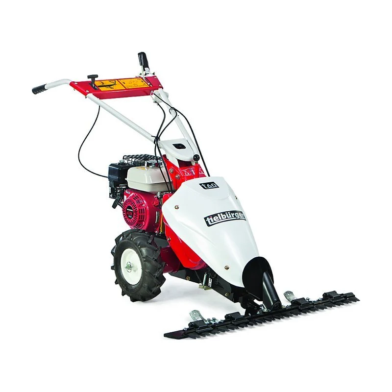 Tielbürger Balkenmäher t60 Briggs&Stratton Intek