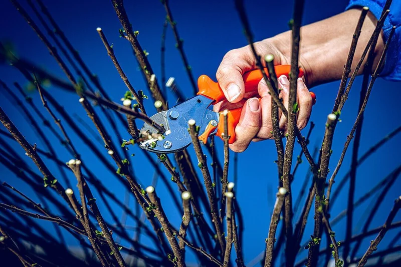 Original LÖWE 5 Amboss-Gartenschere – leichter Schnitt bis 16 mm
