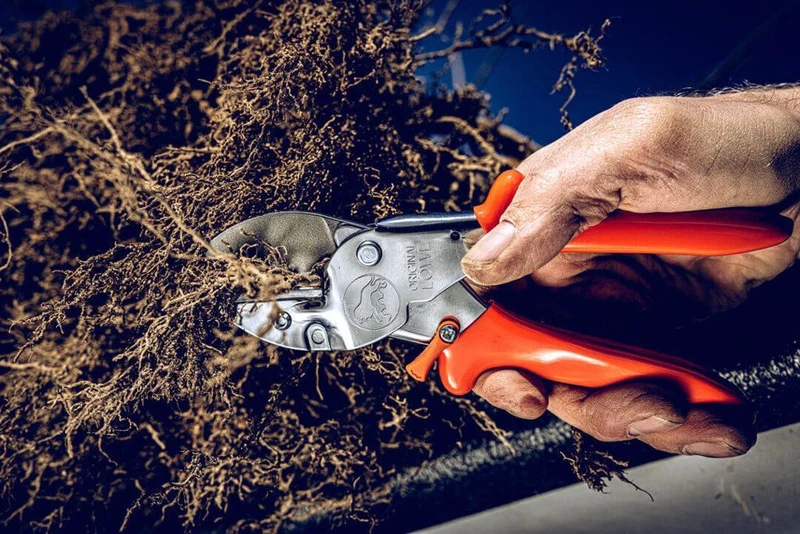 Original LÖWE 1 Amboss-Gartenschere – kraftvoller Schnitt bis 22 mm