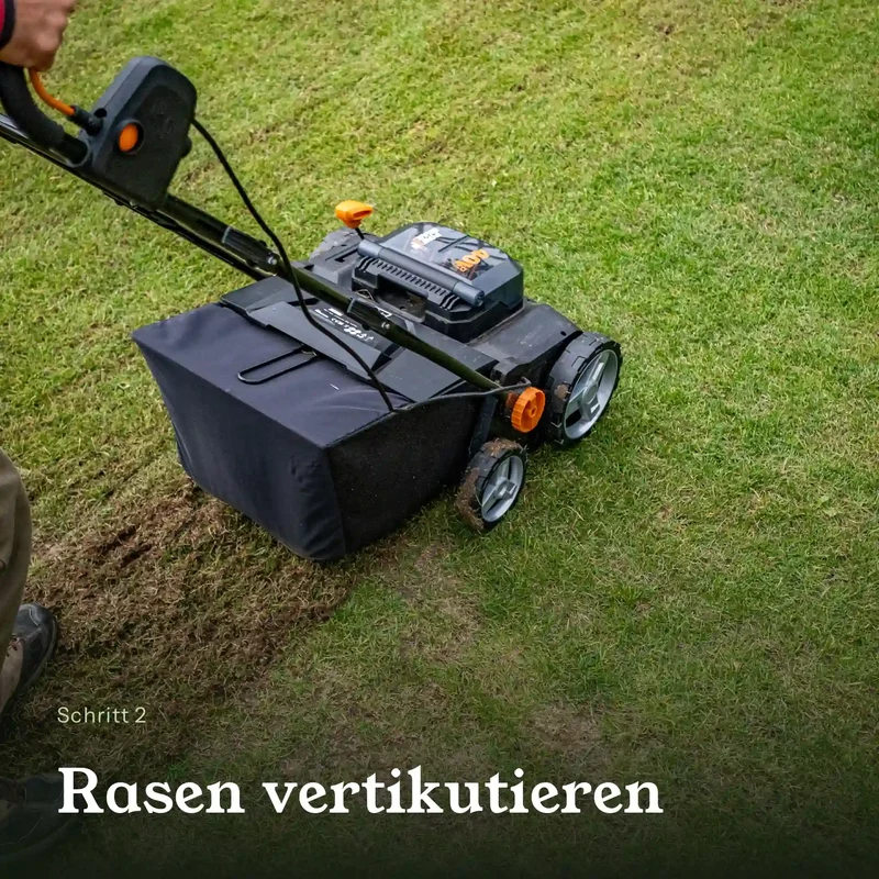 Rasen Vital Komplett Set – Substrat, Bodenaktivator & Rasensaatgut für 100 m²