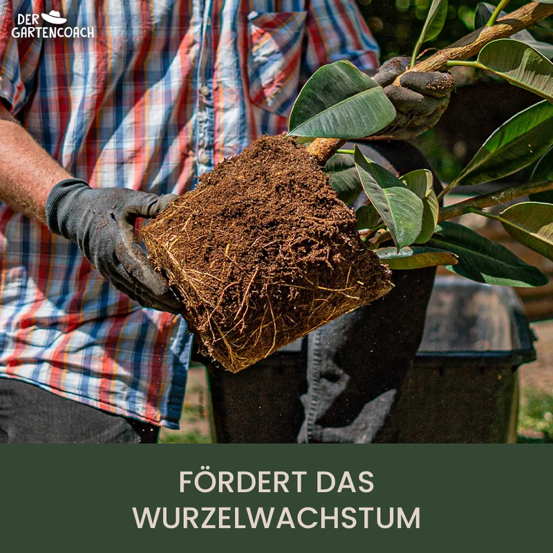 Gartencoach Bodenaktivator 5 kg – Für gesunden Boden & kräftige Pflanzen